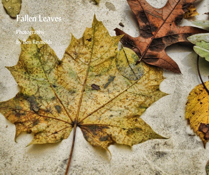 View Fallen Leaves by Ben Reynolds
