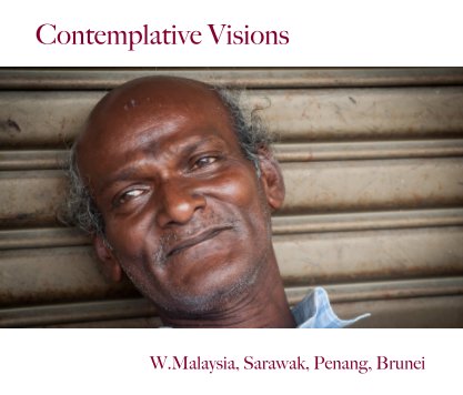 Contemplative Visions book cover