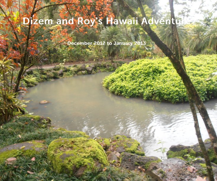 Ver Dizem and Roy's Hawaii Adventure por December 2012 to January 2013