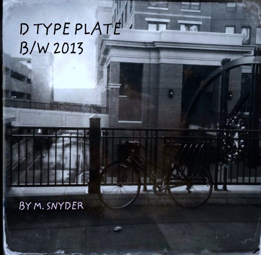View D TYPE PLATE
B/W 2013 by M. SNYDER