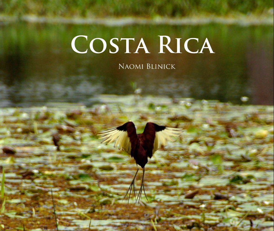 View Costa Rica by Naomi Blinick