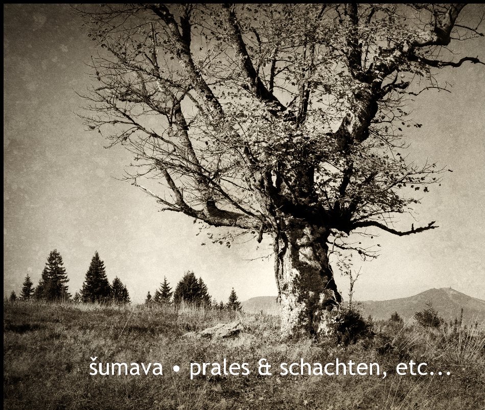 Ver šumava • prales & schachten, etc... por Rudolf Vlček
