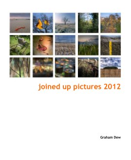 joined up pictures 2012 book cover