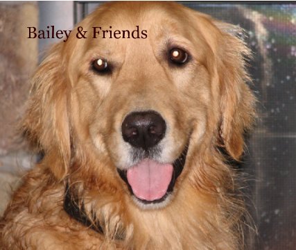 Bailey & Friends book cover