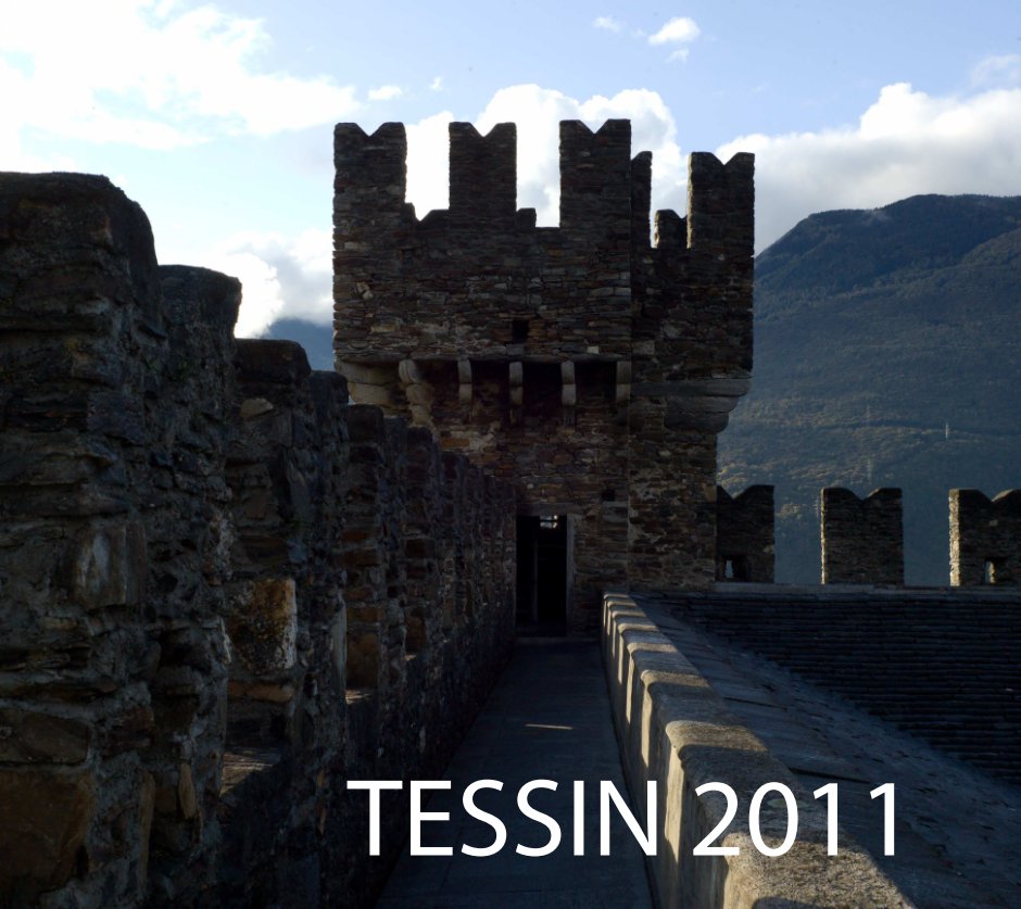 View Tessin 2011 by Guillaume Bron