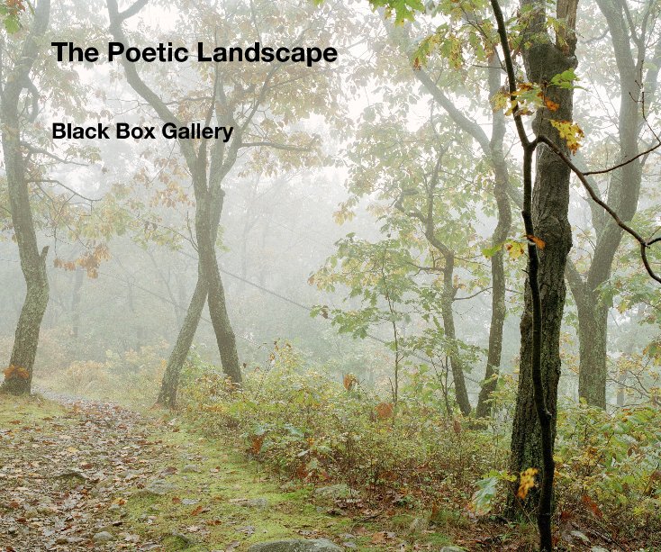 View The Poetic Landscape by Black Box Gallery