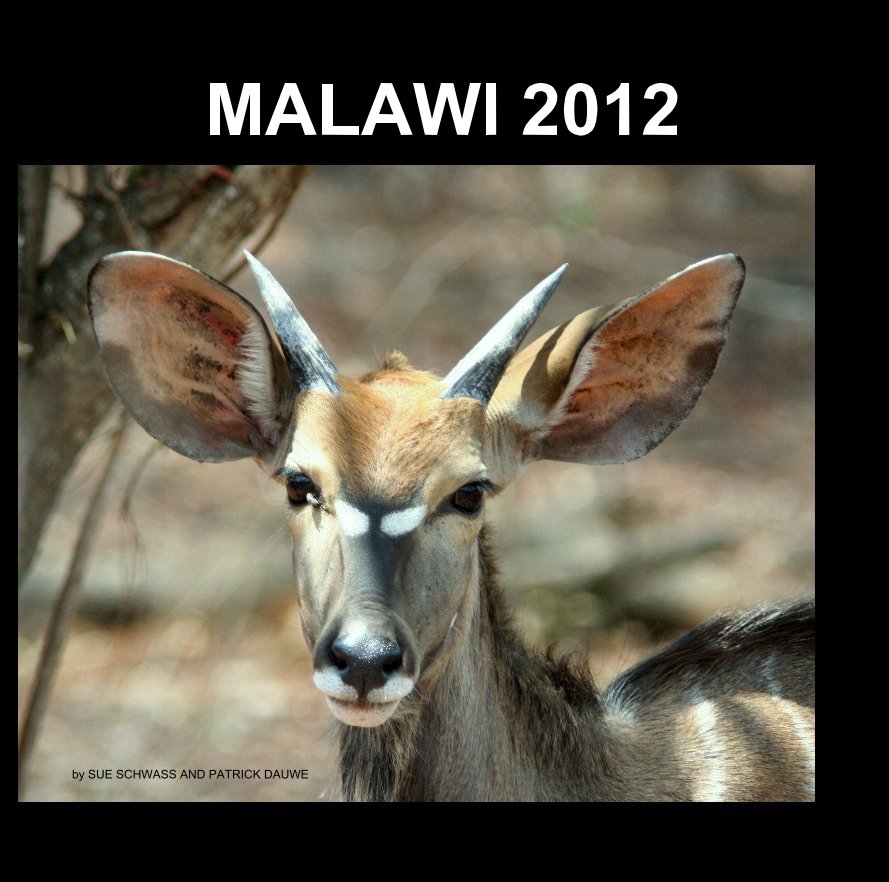 View MALAWI 2012 by SUE SCHWASS AND PATRICK DAUWE