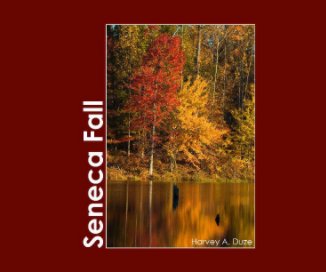 Seneca Fall book cover
