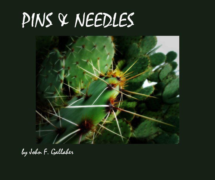 View PINS & NEEDLES by John F. Gallaher