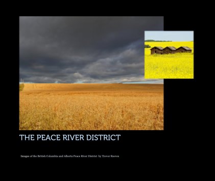 THE PEACE RIVER DISTRICT book cover