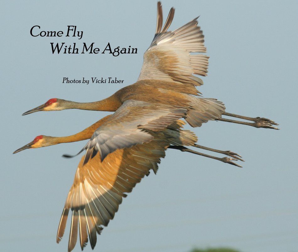 Ver Come Fly With Me Again por Photos by Vicki Taber