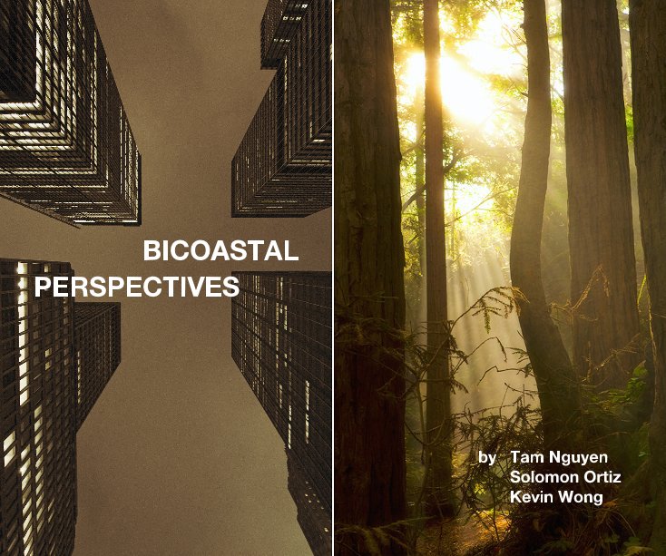 View BICOASTAL PERSPECTIVES by Tam Nguyen, Solomon Ortiz, and Kevin Wong