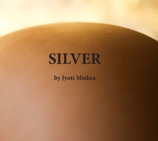 Silver book cover