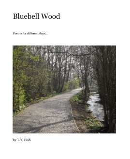 Bluebell Wood book cover