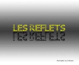 Les reflets book cover