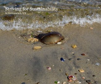 Striving for Sustainability in Greenwich, CT book cover