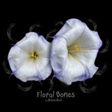 Floral Bones book cover