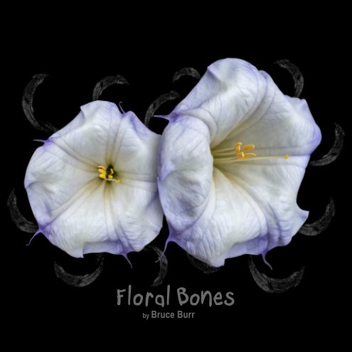 View Floral Bones by Bruce Burr