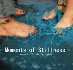 Moments of Stillness book cover