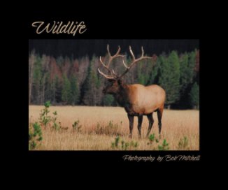 Wildlife book cover