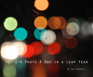 365+1=A Photo A Day in a Leap Year book cover