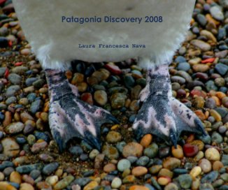 Patagonia Discovery 2008 book cover