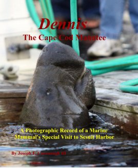 Dennis The Cape Cod Manatee book cover