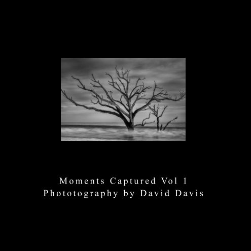 Moments Captured Vol 1 nach David Davis anzeigen