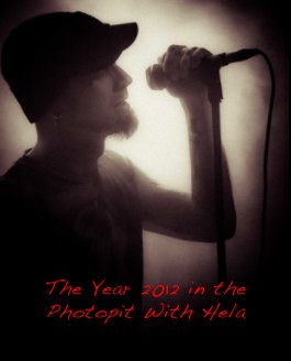 The Year 2012 in the Photopit With Hela book cover