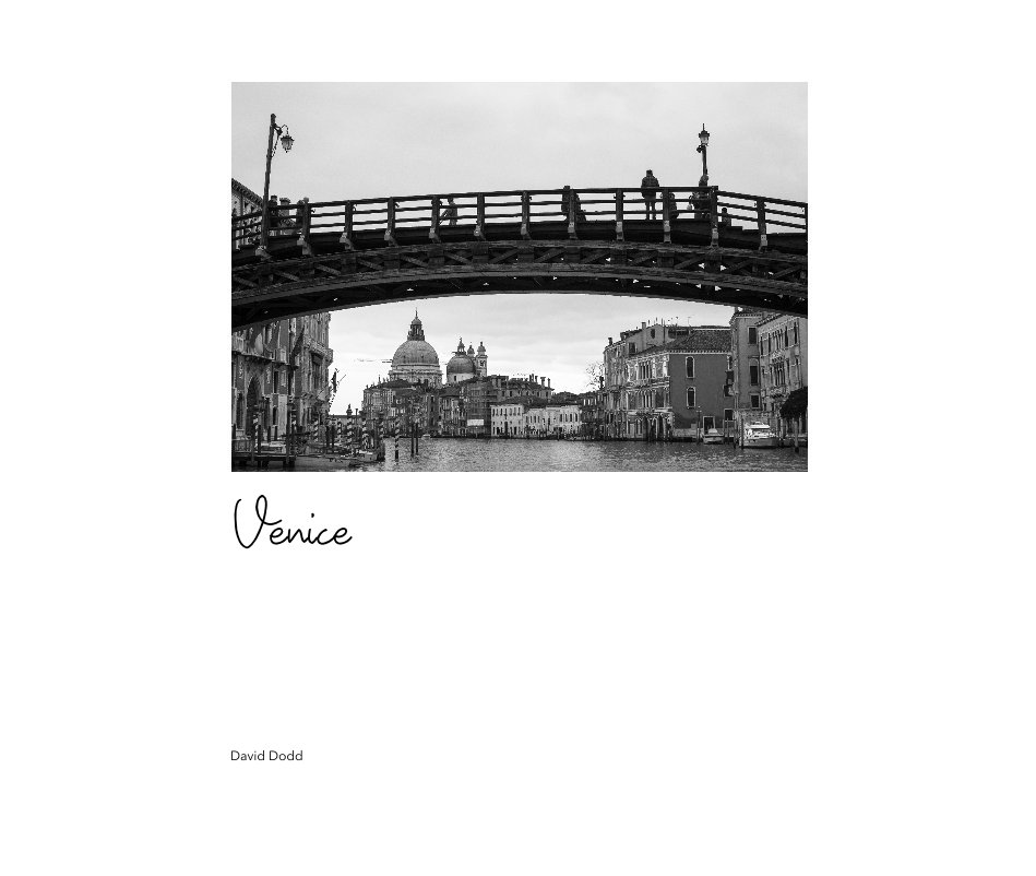 View Venice by David Dodd