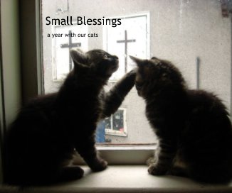 Small Blessings book cover