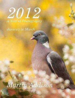 2012 A Year of Photography book cover