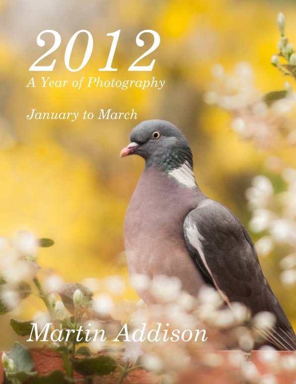 2012 A Year of Photography nach Martin Addison anzeigen