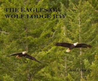 The Eagles of wolf lodge bay book cover