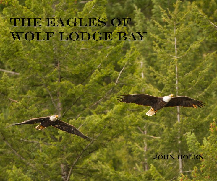 View The Eagles of wolf lodge bay by johnholen