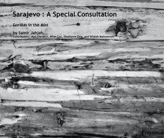 Sarajevo : A Special Consultation book cover