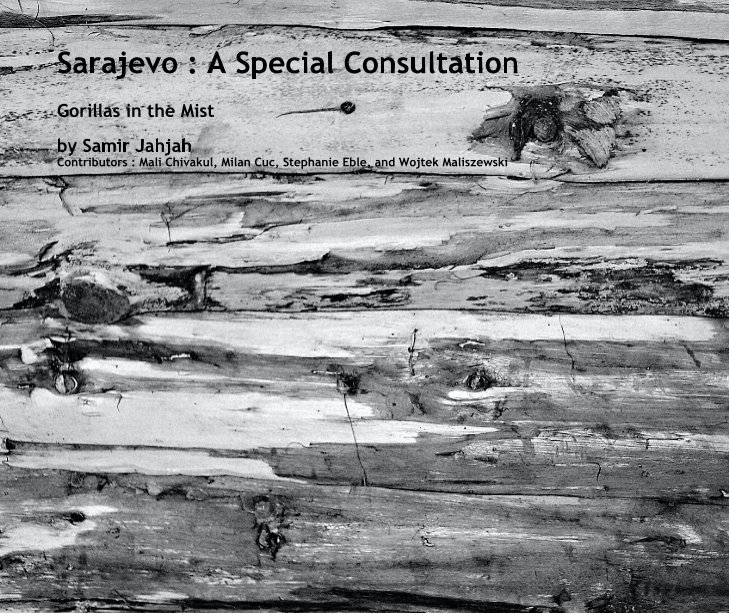 View Sarajevo : A Special Consultation by Samir Jahjah
Contributors : Mali Chivakul, Milan Cuc, Stephanie Eble, and Wojtek Maliszewski
