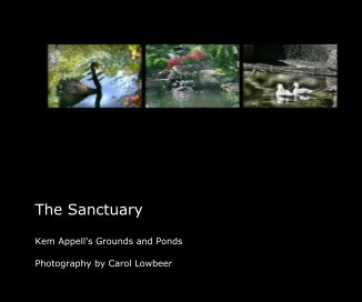 The Sanctuary book cover