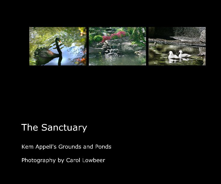 View The Sanctuary by Carol Lowbeer