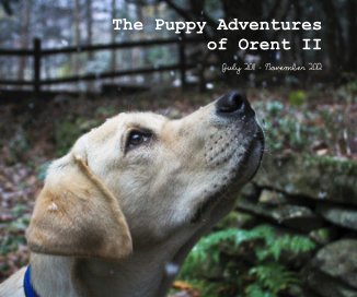 The Puppy Adventures of Orent II book cover