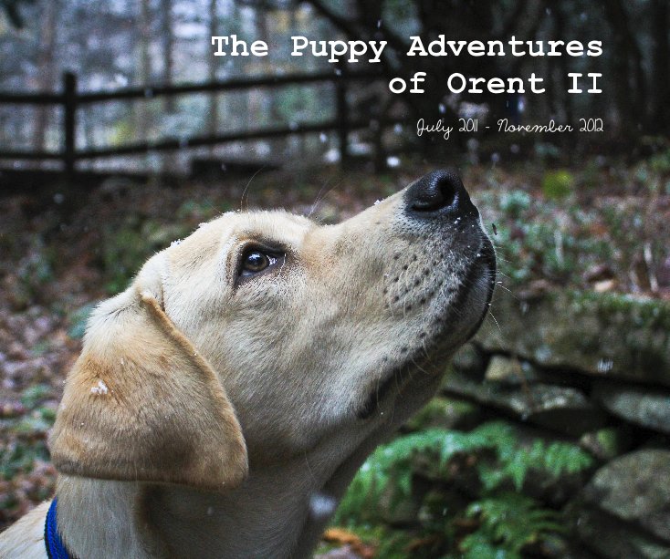 View The Puppy Adventures of Orent II by July 2011 - November 2012