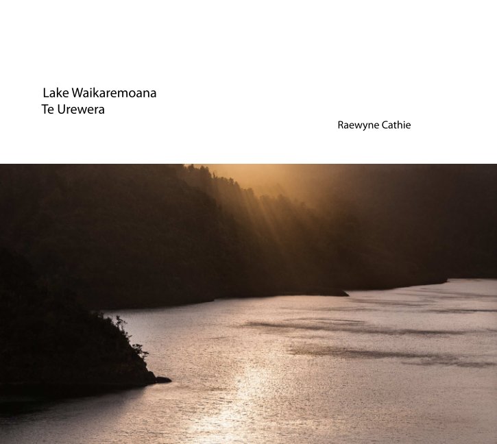 View Lake Waikaremoana by Raewyne Cathie