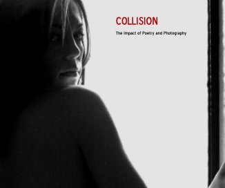 collision book cover