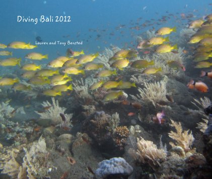 Diving Bali 2012 book cover