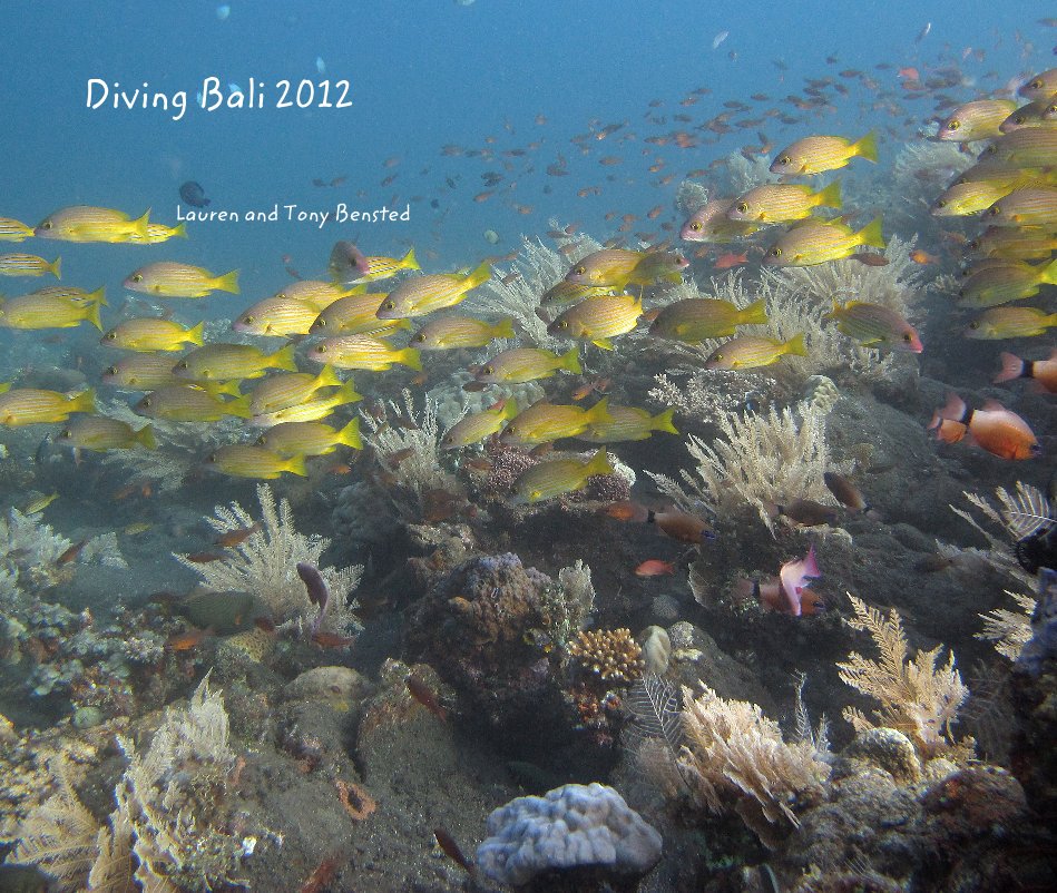 View Diving Bali 2012 by Lauren and Tony Bensted