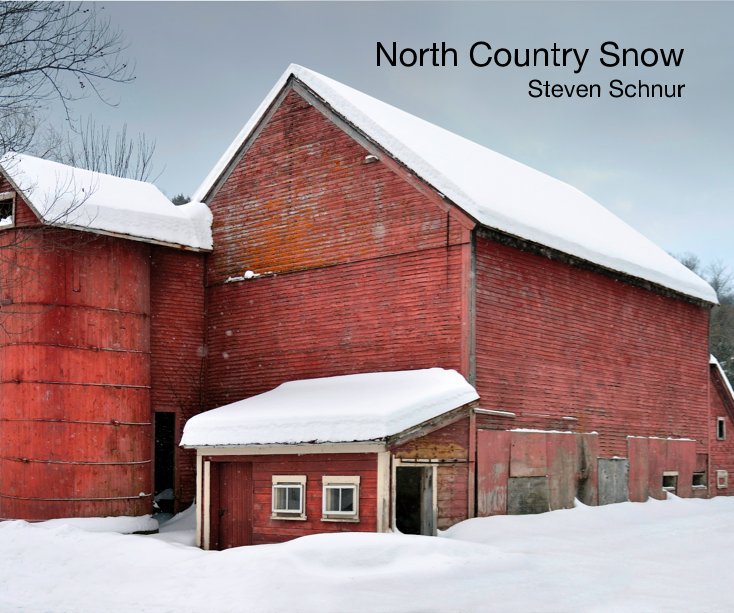 View North Country Snow Steven Schnur by Steven Schnur