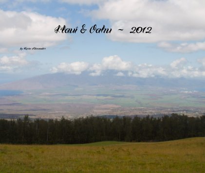 Maui & Oahu ~ 2012 book cover