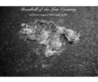 Roadkill of the Low Country book cover