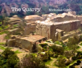 The Quarry Nicholas Cobb book cover