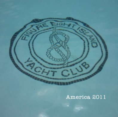 America 2011 book cover